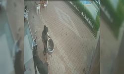 Pişkin hırsızın rahatlığı şaşkınlık yarattı