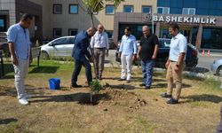 Sağlığına kavuşan hastalar adına zeytin ağacı diktiler 