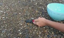 Yolunu kaybeden yavru carettaya yardım eli