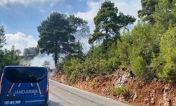 Alanya'da çıkan orman yangını kontrol altına alındı