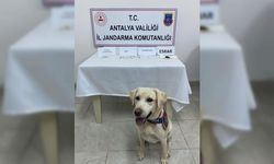 Alanya’da şüpheli araçtan uyuşturucu çıktı