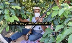 Alanyalı başkandan hırsızlık isyanı!