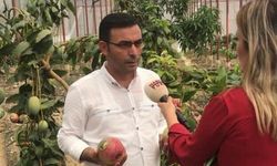 ‘Dönümden 500 bin  TL gelir elde ediyoruz’