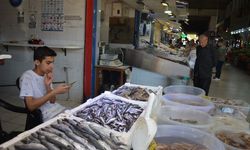 Alanya'da hamsi yemek hayal oldu