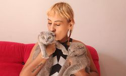 Dekolteli kedi hırsızlarına verilen ceza, ev sahibini şok etti