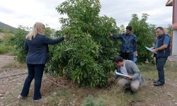 ‘En Güzel Avokado’ için jüri değerlendirmesini yaptı