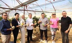 Tropikal Meyve Festivali'nin ikinci günü hasatla başladı