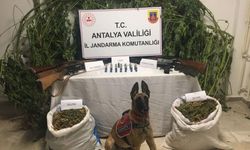 Zehir tacirlerine jandarmadan operasyon