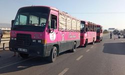 Alanya yolunda uygulamaya takılan safari araçlarından emniyet kemeri çıkmadı
