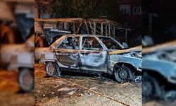 Alanya’da otomobil alevlere teslim oldu | VİDEO HABER