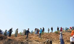 Güzelbağ için 11 bin fidan diktiler