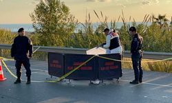 Alanya’da karı kocanın can verdiği kazada sürücü tutuklandı