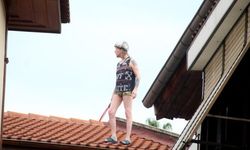 Yıllardır görülmeyen turist öyle bir yerden çıktı ki gören şaştı kaldı | VİDEO HABER
