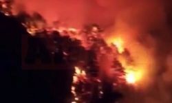 Alanya’da orman yangını çıktı | 3 ayrı noktada çıkan yangına müdahale edilemiyor | VİDEO HABER