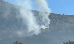 Alanya’da ormanlık alanda yangın çıktı