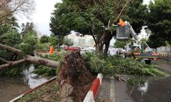Antalya Büyükşehir Belediyesi'nden fırtına mesaisi