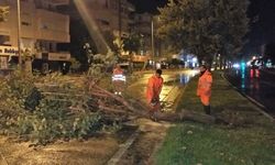 Büyükşehir, fırtınada 136 vakaya müdahale etti