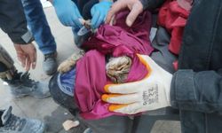 135 saat sonra enkazdan çıkan kedi tedavi altına alındı