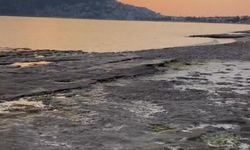 Alanya'da deniz çekildi | Depremle ilgisi var mı? |VİDEO HABER