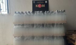 Alanya'da kaçakçılık operasyonu
