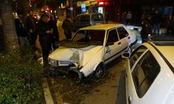 Alkollü sürücüyü palmiye ağacı durdurdu