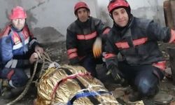 “Çok susadım çabuk olun” diyen minik Ayşenur ile annesini depremin 5. gününde kurtardılar