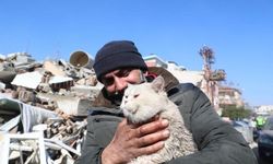 Depremde kaybolan kedisine 5 gün sonra kavuştu
