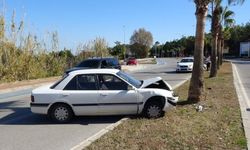 Ehliyetsiz yola çıkan  sürücü palmiyeye çarptı