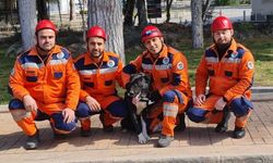 Enkazdan çıkarılan köpek ‘Hayat’, yeni hayatlar kurtaracak