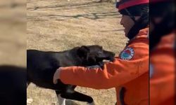 Kepez Belediyesi enkazdan kurtardığı köpeği sahiplendi
