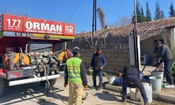 Orman muhafaza memurları deprem bölgesinde