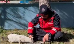 UMKE personeli yemeğini kedi ile paylaştı | VİDEO HABER