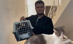 10 bin TL ödülle aradığı kedisini rüyası sayesinde buldu