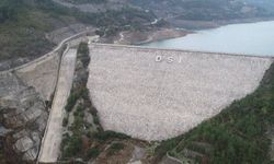 Alanya'dan ekonomiye 231 milyon TL katkı sağlanacak