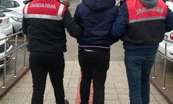 Alanya’da avokado hırsızı tutuklandı