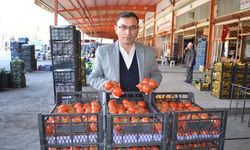 Alanya’da ‘domates’ tepkisi sürüyor | ‘İhracatı kısıtlamak sorunu çözmüyor’