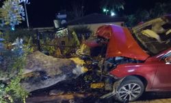 Alanya’da kaldırıma çıkan araç ağaca çarptı: 2 yaralı
