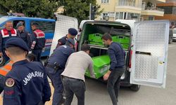 Alanya’daki kazada hayatını kaybeden 3 depremzedenin cenazesi Hatay'a gönderildi