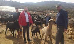 Antalya'da çobanlardan Kızılay'a 10 küçükbaş hayvan bağışı
