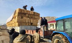 Deprem bölgesine yem ve saman desteği