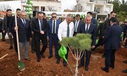 Deprem Şehitleri Ormanı'na Vali Yazıcı fidan dikti