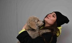 Enkaz altından kurtarılan köpek Trabzon’da sahiplendirildi
