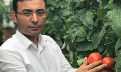 Tahir Göktepe’den bakanlığa ‘domates’ tepkisi | ‘Acilen bu karardan dönün’