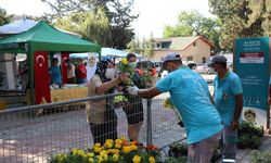 Alanya Belediyesi Ramazan Bayramı’nda ücretsiz çiçek dağıtacak