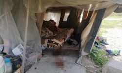 Alanya'nın komşusunda bıçaklanan hurdacı öldü