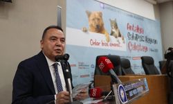 Antalya Sahipsiz Hayvan Çalıştayı gerçekleştirildi