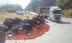 Alanya'nın komşusunda domates yüklü TIR'ın yükü yan yattı