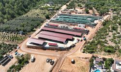 Alanya Belediyesi'nden dört dörtlük kurban satış tesisi