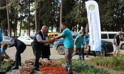 Alanya Belediyesi Kurban Bayramı’nda ücretsiz 60 bin çiçek dağıtacak