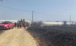 Alanya’da çalılık ve tarımsal üretim alanında yangın çıktı